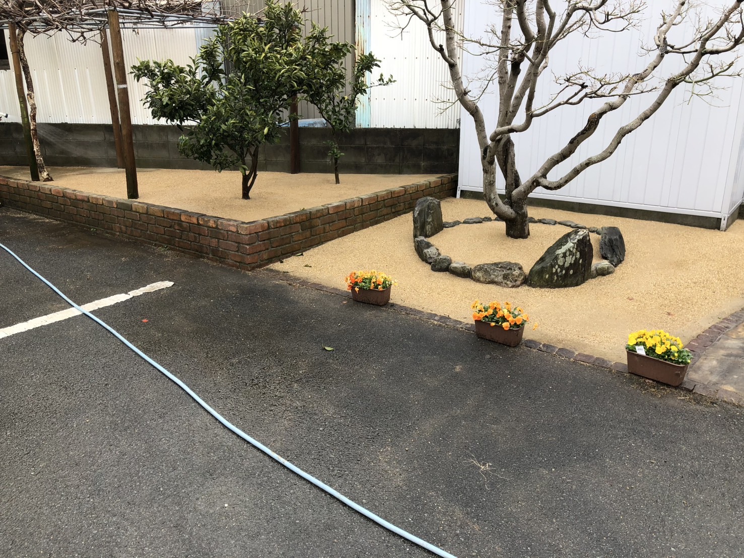 芝生・草関連施工例1