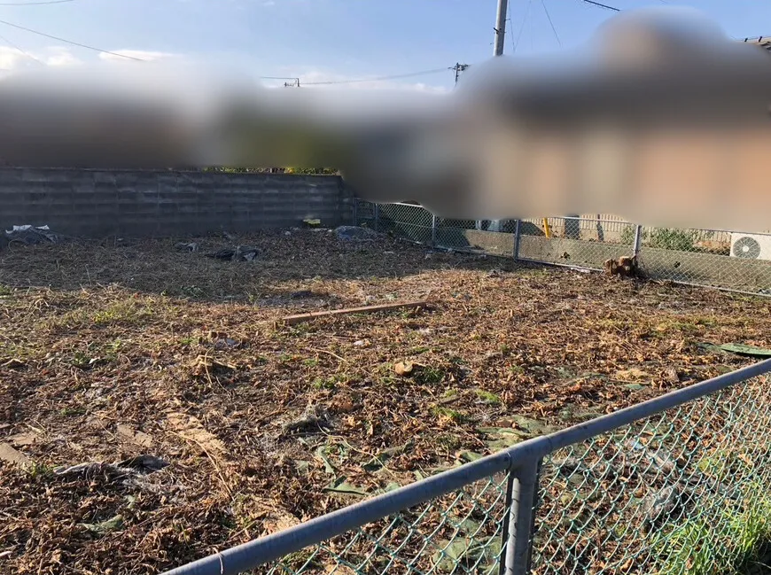 徳島市での伐採作業の実績写真