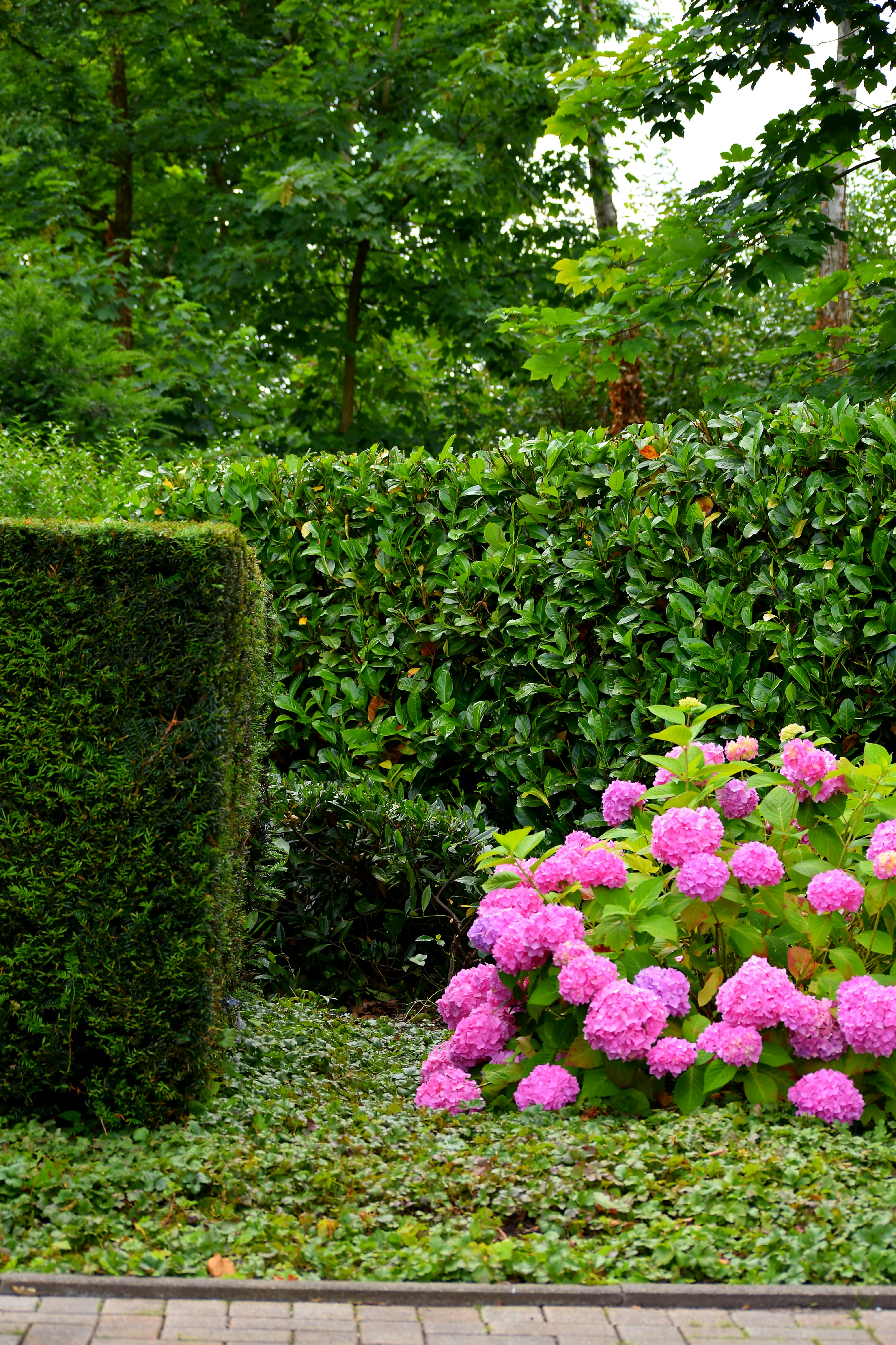 定期管理施工例2