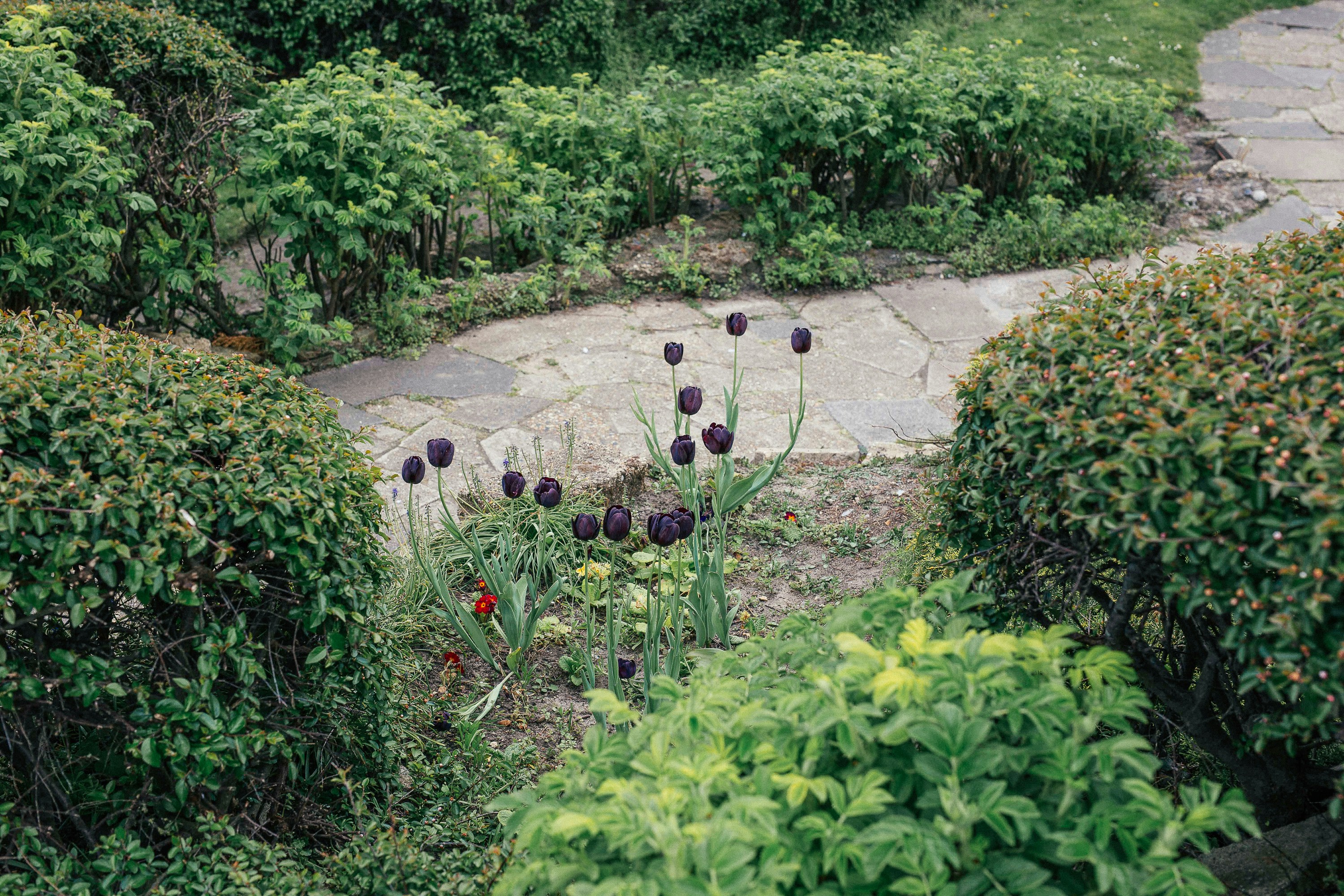 定期管理施工例3